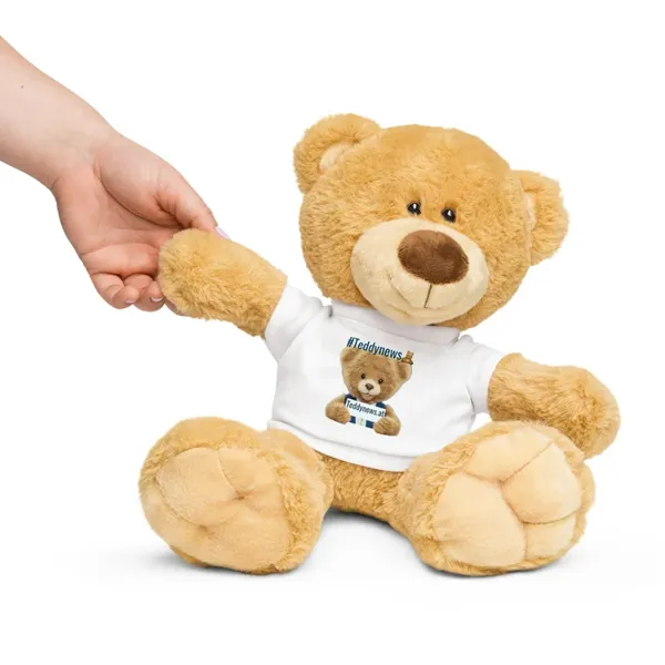 Teddy bear with a t-shirt