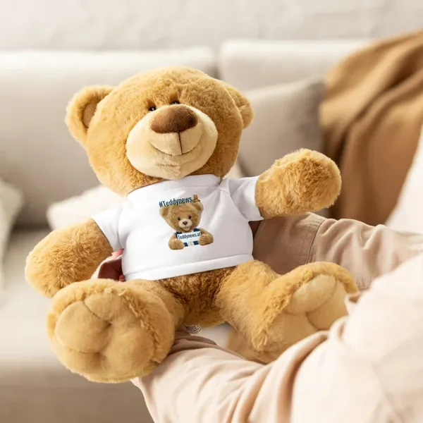 Teddy bear with a t-shirt
